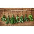 AROMATICHE