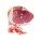 PROSCIUTTO CRUDO