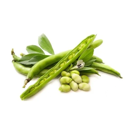 A.FAVE FRESCHE