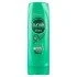 SUNSILK BALSAMO CAPELLI MOSSI E RICCI