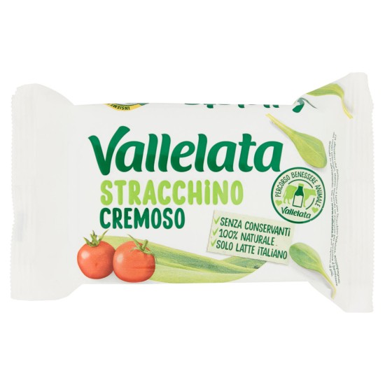 VALLELATA STRACCHINO GR 200   