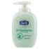 ROBERTS SAPONE LIQUIDO ANTIBATTERICO 300 ML