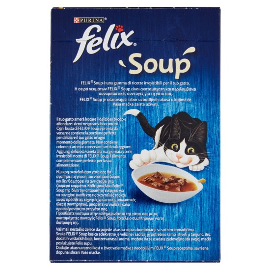 E*FELIX SOUP SEL.DELIZ.6X48GR 