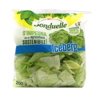 BONDUELLE ICEBERG GR 200 