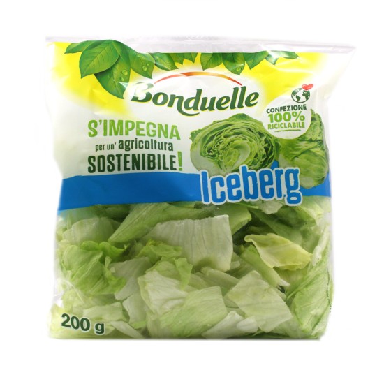 BONDUELLE ICEBERG GR 200 