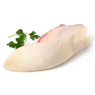 B.A. LINGUA