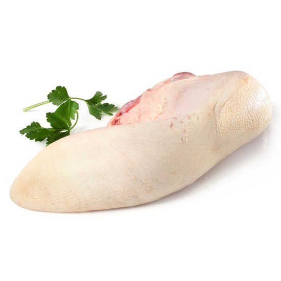 B.A. LINGUA