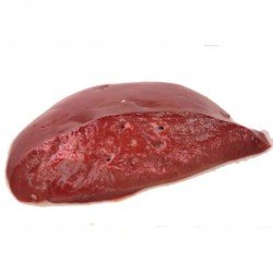 BOVINO ADULTO FEGATO