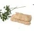 BOVINO ADULTO COTOLETTA