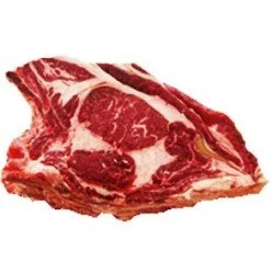 B.A. COSTATA REALE TA B.A. COSTATA REALE TA