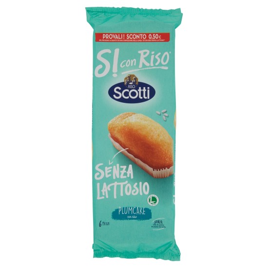 E*SCOTTI SCR PLUMCAKE S/L 190G