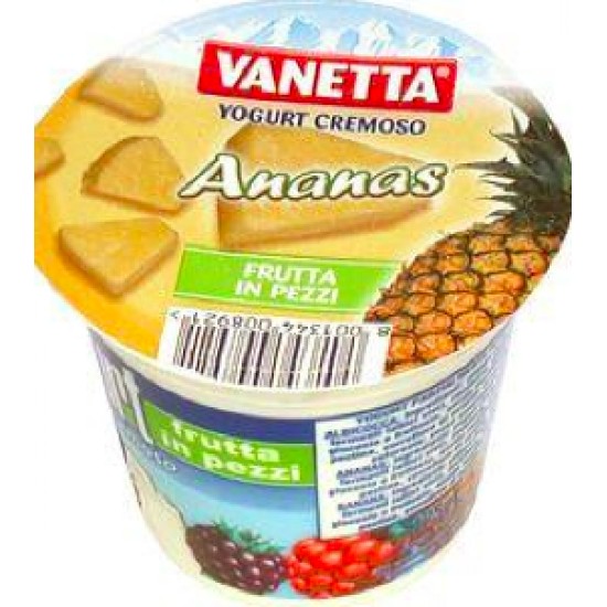 VANETTA YOGURT PEZZI ANANAS GR125