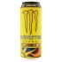 MONSTER ENERGY V46