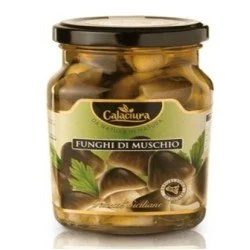CALACIURA FUNGHI MUSCHIO