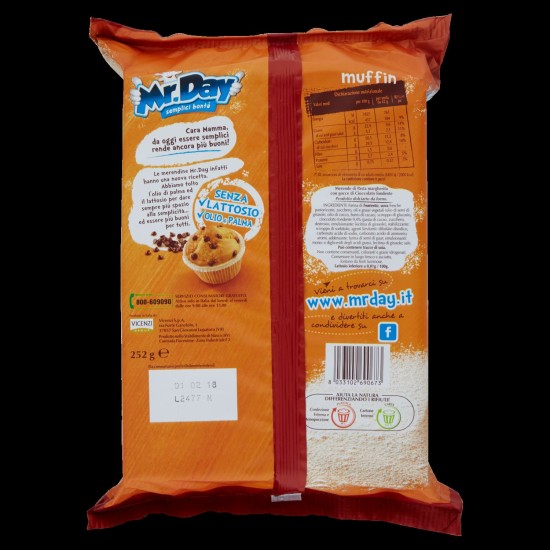 MR DAY MUFFIN CLASSICI CONFEZIONE DA 6 252 GR