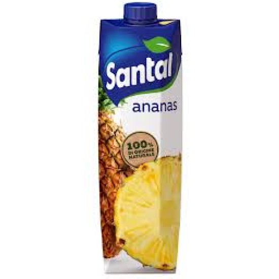 SANTAL ANANAS SENZA ZUCCHERO BRICK 