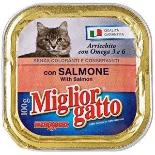 MIGLIOR GATTO V.100GR SALMONE