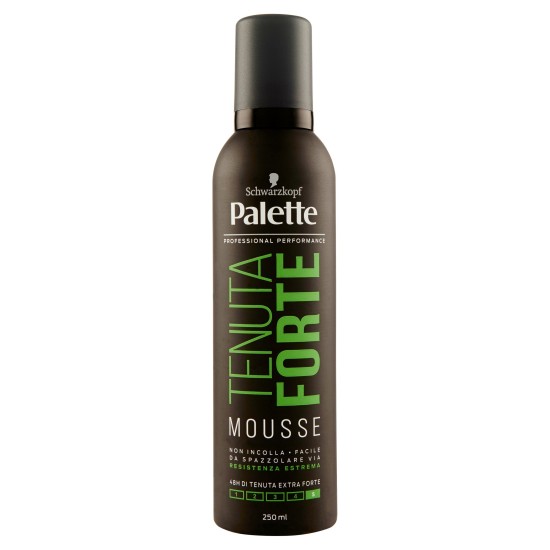 PALETTE HAIR MOUSSE 250ML FORT