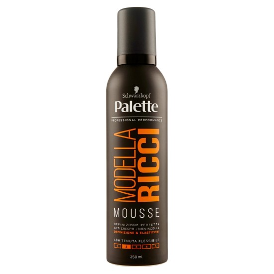 PALETTE HAIR MOUSSE 250ML FLE