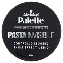 PALETTE PASTA INVISIBLE 100 ML
