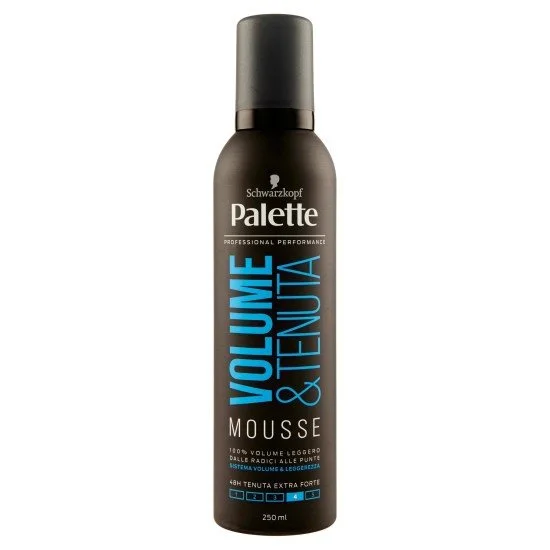 PALETTE STYLING VOLLFIT 250 ML