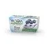 YOSOI YOGURT MIRTILL 2X125 GR.