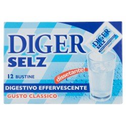 DIGER SELZ 12 BUSTINE DIGER SELZ 12 BUSTINE