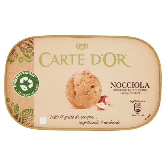 CARTE D'OR NOCCIOLA GR 400