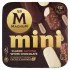 MAGNUM MINI CAW X 6 GR. 254