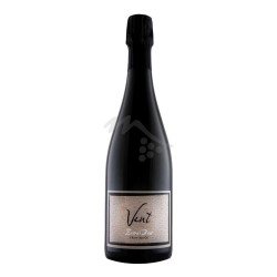 VENT.VINO B.DI CANTINA PET 2L#