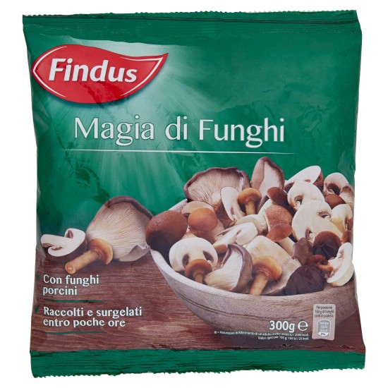 FINDUS MAGIA DI FUNGHI 