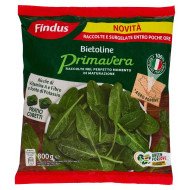 FINDUS SPINACI PRIMAVERA GR 800