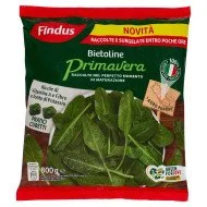 FINDUS SPINACI PRIMAVERA G.800
