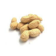 ETNATOST ARACHIDE GUSCIO TOSTATE