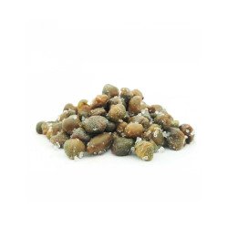 GI&GI CAPPERI AL SALE 50 g