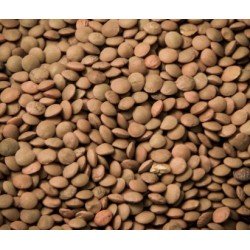 GI&GI LENTICCHIE MIGNON GI&GI LENTICCHIE MIGNON
