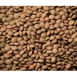 GI&GI LENTICCHIE MIGNON