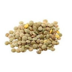 GI&GI-LENTICCHIE GIGANTI G.500 GI&GI-LENTICCHIE GIGANTI G.500