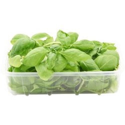 GI&GI BASILICO IN FOGLIE 30 g