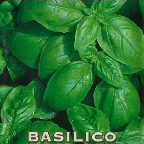 GI&GI BASILICO IN FOGLIE 30 g