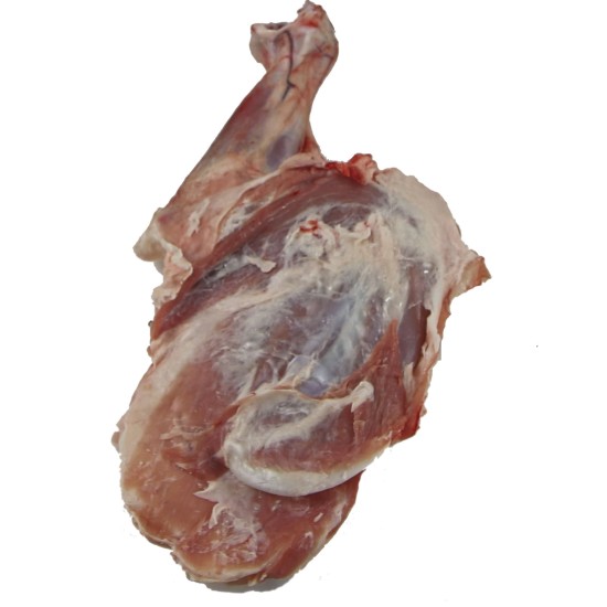 AGNELLO NOSTRALE 