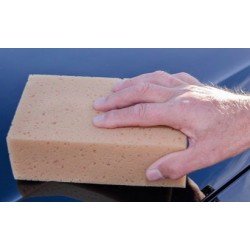 COFAR SPUGNA AUTO COFAR SPUGNA AUTO