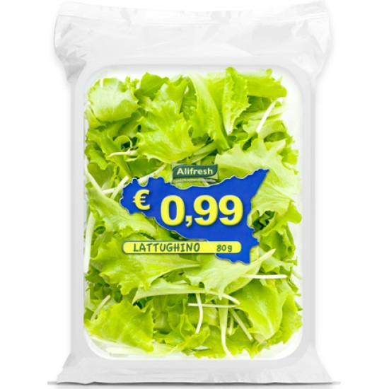 ALIFRESH LATTUGHINO 80 g