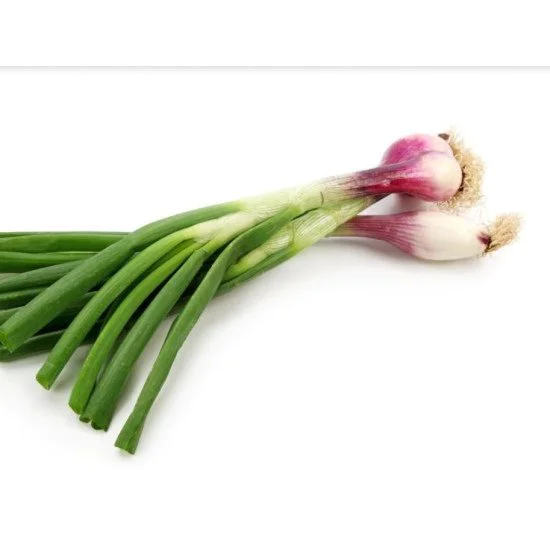 ALIFRESH CIPOLLOTTO BUSTA 1 KG