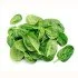 ALIFRESH SPINACI BUSTA GR 250 