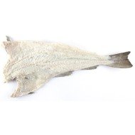 BACCALA' SECCO 16/20 