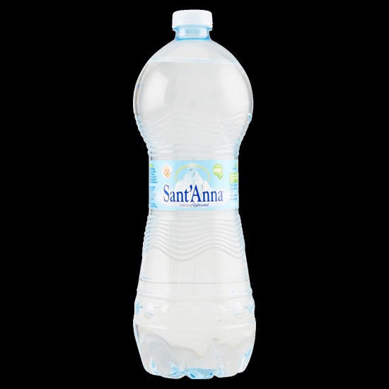 SANT'ANNA ACQUA NATUR. PET 1LT