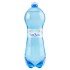 SANT'ANNA ACQUA FRIZZANTE PET 1 LT 