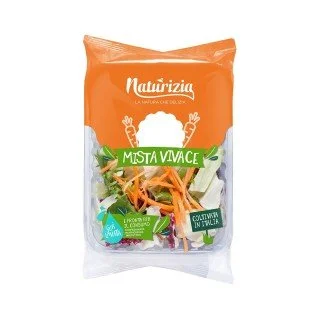 NATURIZIA MISTA VIVACE G165 FL NATURIZIA MISTA VIVACE G165 FL