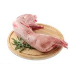 SOC.S.GREG.CONIGLIO.INTERO FR.